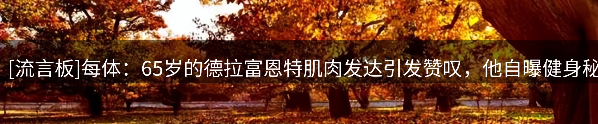 最新动态